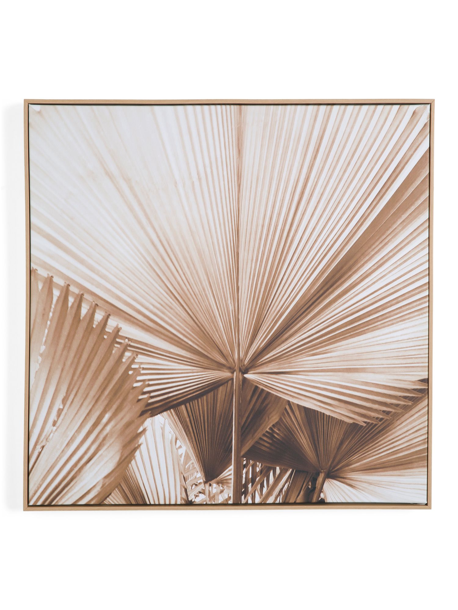 28x28 Desert Palm Canvas Wall Art | TJ Maxx