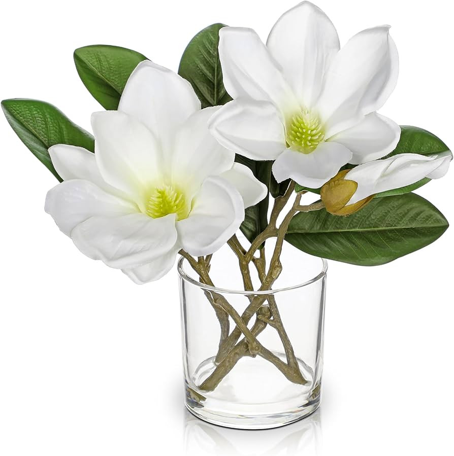 Briful Artificial Magnolia Flower Arrangement in Glass Vase 10'' White Fake Magnolia Silk Flowers... | Amazon (US)