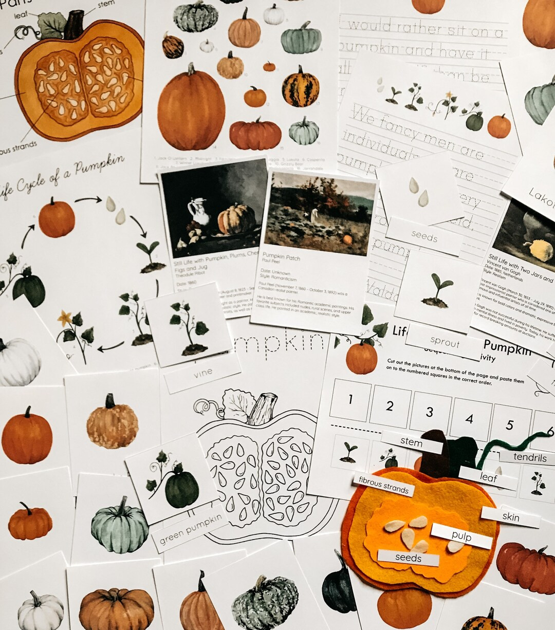 Pumpkin Mini Unit Study | Etsy (US)