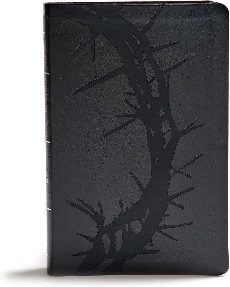KJV Giant Print Reference Bible, Charcoal LeatherTouch, Indexed, Red Letter, Pure Cambridge Text,... | Amazon (US)
