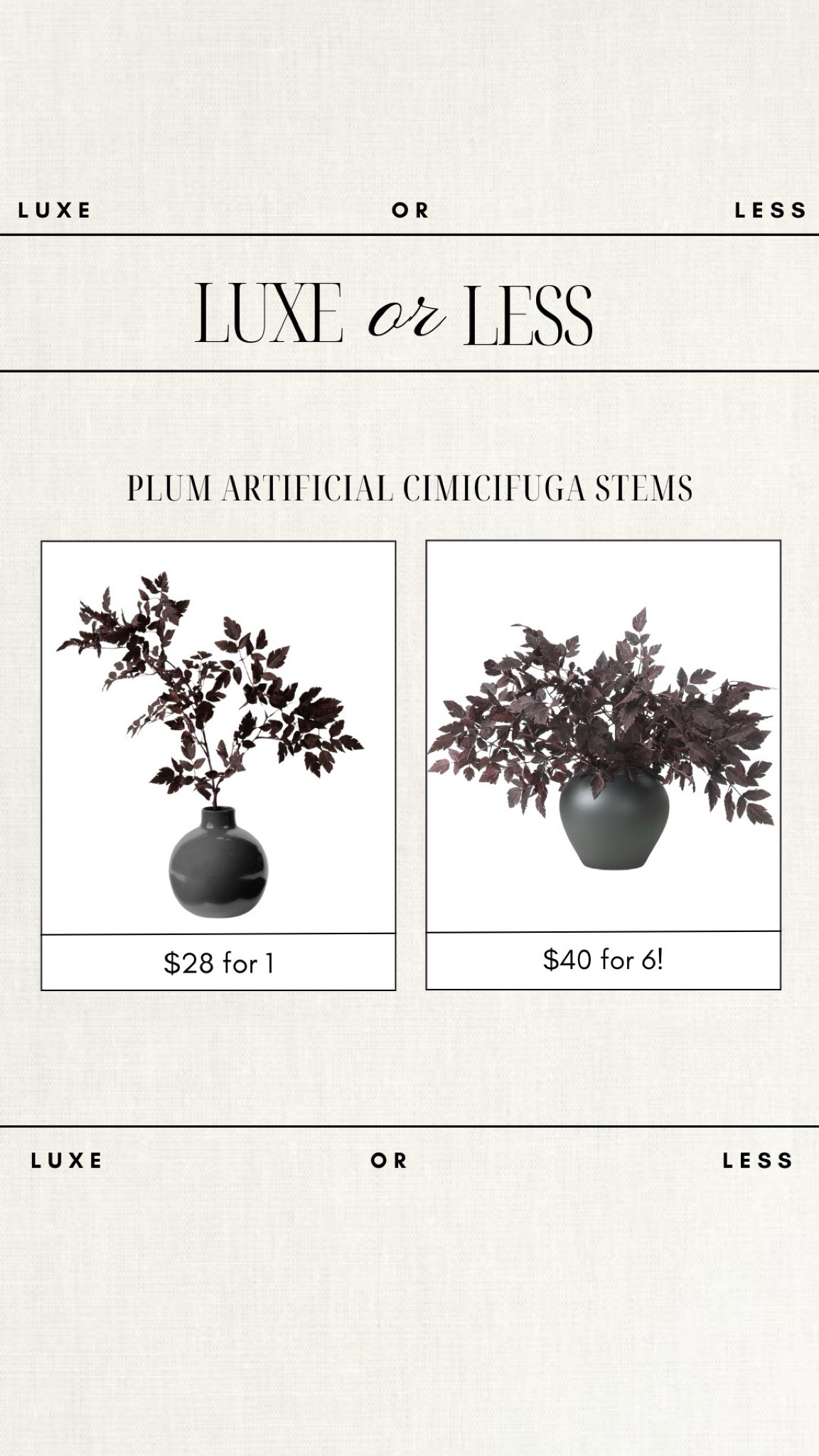 Luxe or Less - Plum Artificial Cimicifuga Stems! 

Gorgeous on either budget!

fall stems, budget friendly fall stems, halloween stems, amazon stems, amazon home decor, amazon home finds, amazon favorites, afloral stems

#LTKFindsUnder50 #LTKSeasonal #LTKHome