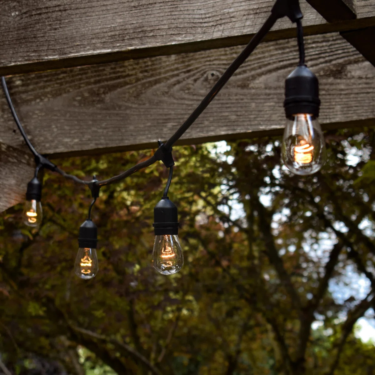 Taft Outdoor 15 - Bulb 576'' Plug-in String Light | Wayfair North America
