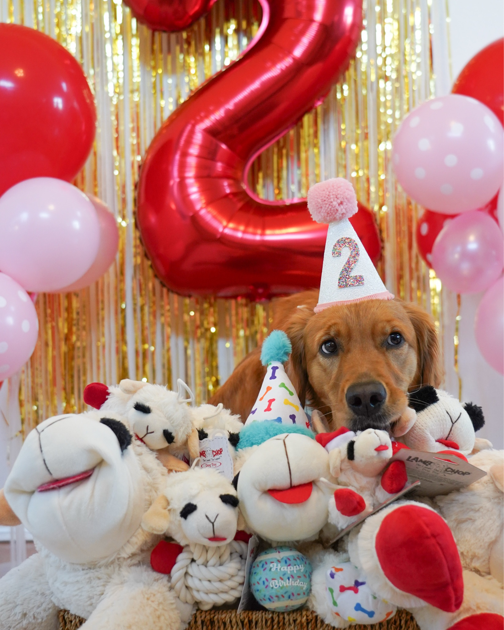 All of Aria’s Lambchop Birthday Supplies!! 🐑🎂🩷