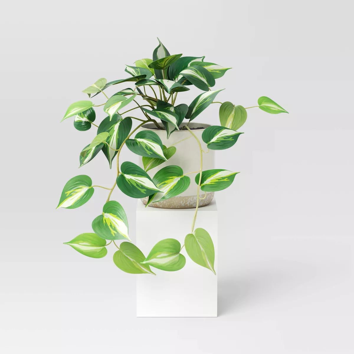 Small Marble Pothos Plant - Threshold™ | Target