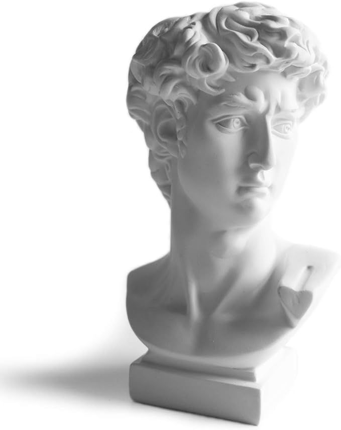 SCMAIGU 6.5” David Bust Greek Statue Face Head Planter Succulent Planters Dried Flowers Vase, R... | Amazon (US)