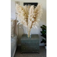 5 Stems Large Dried Pampas Grass | 2-4Ft Boho Wedding Decor | Etsy (US)