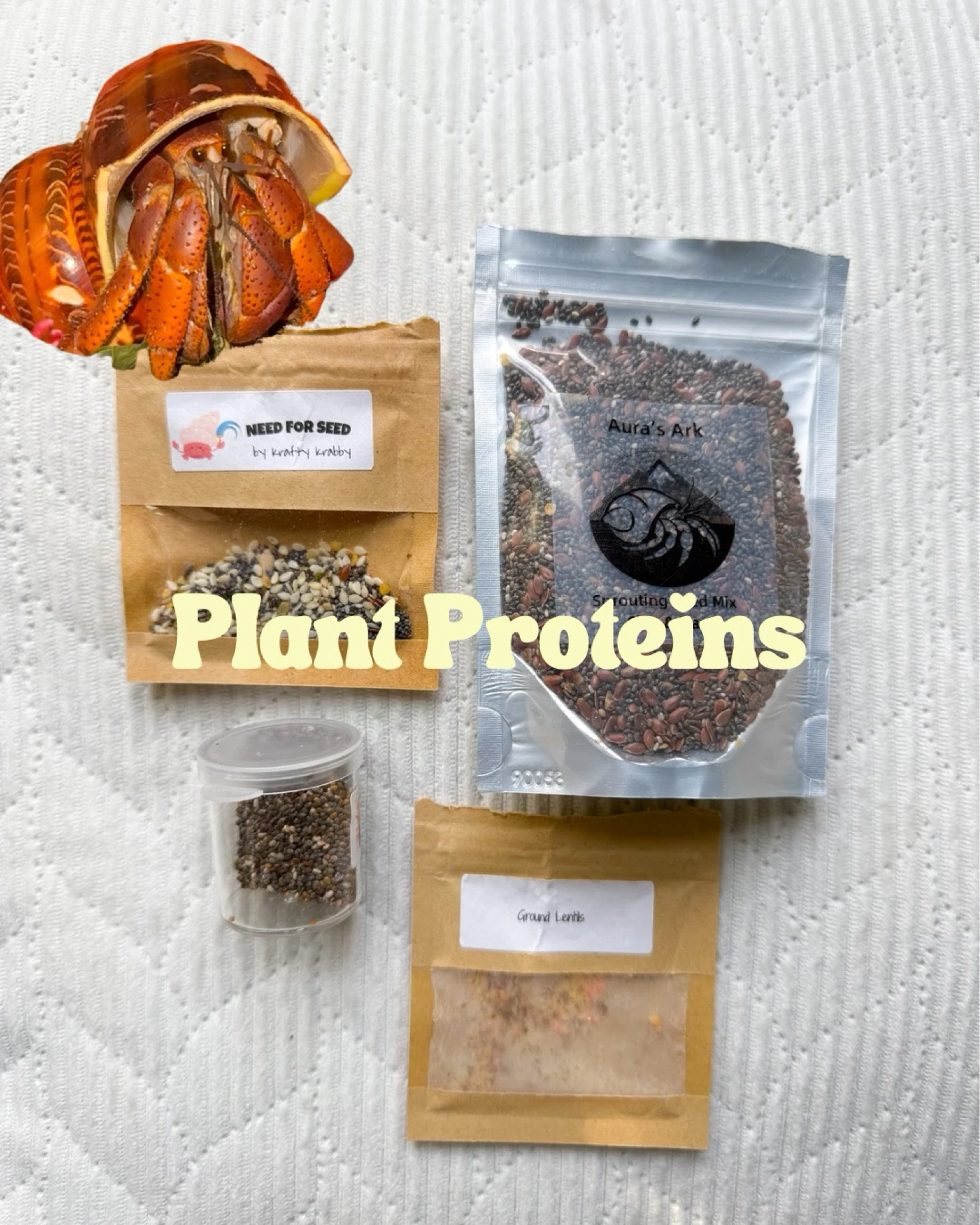 Plant protein food for hermit crabs 