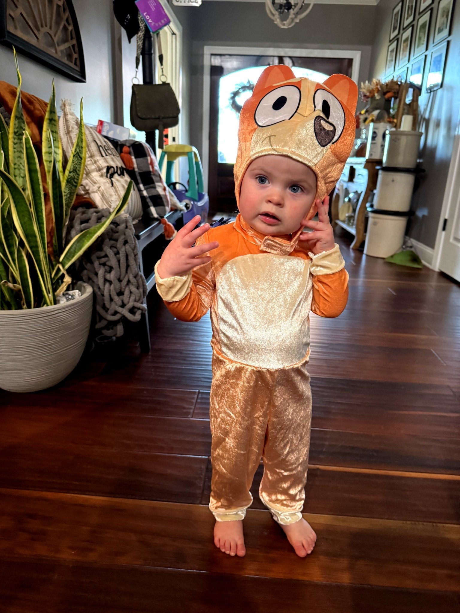 Bingo is ready for some #trickortreating

#LTKHoliday #LTKHalloween #LTKSeasonal