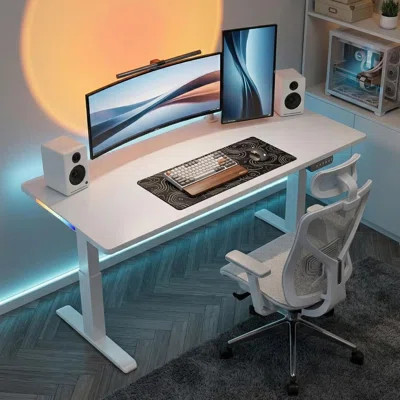 55" Electric Standing Desk with RGB LED Lights - White Transform Your Home Office with Style & Wellness | Wayfair North America