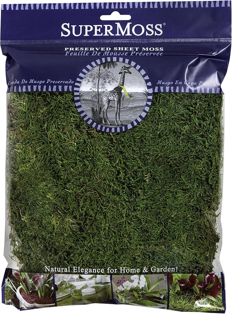 SuperMoss (21512) Preserved Sheet Moss, Fresh Green, 8oz (200 cubic inch) | Amazon (US)