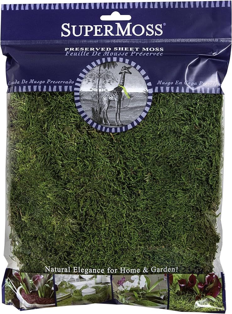 SuperMoss (21512) Preserved Sheet Moss, Fresh Green, 8oz (200 cubic inch) | Amazon (US)