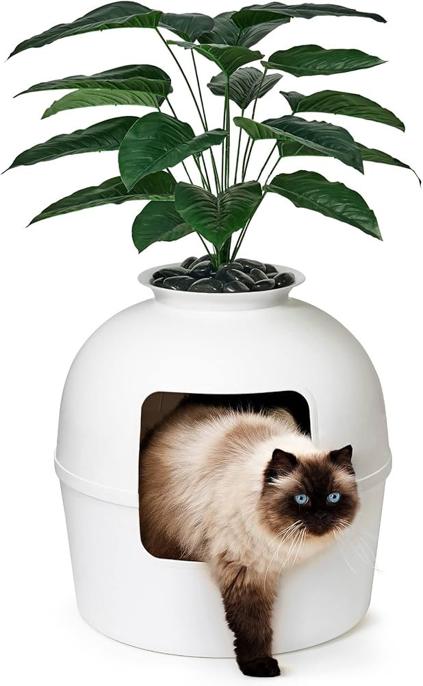 Secret Litter Box by Bundle & Bliss - Hidden Litter Box Enclosure, Patented Design with Odor Cont... | Amazon (US)