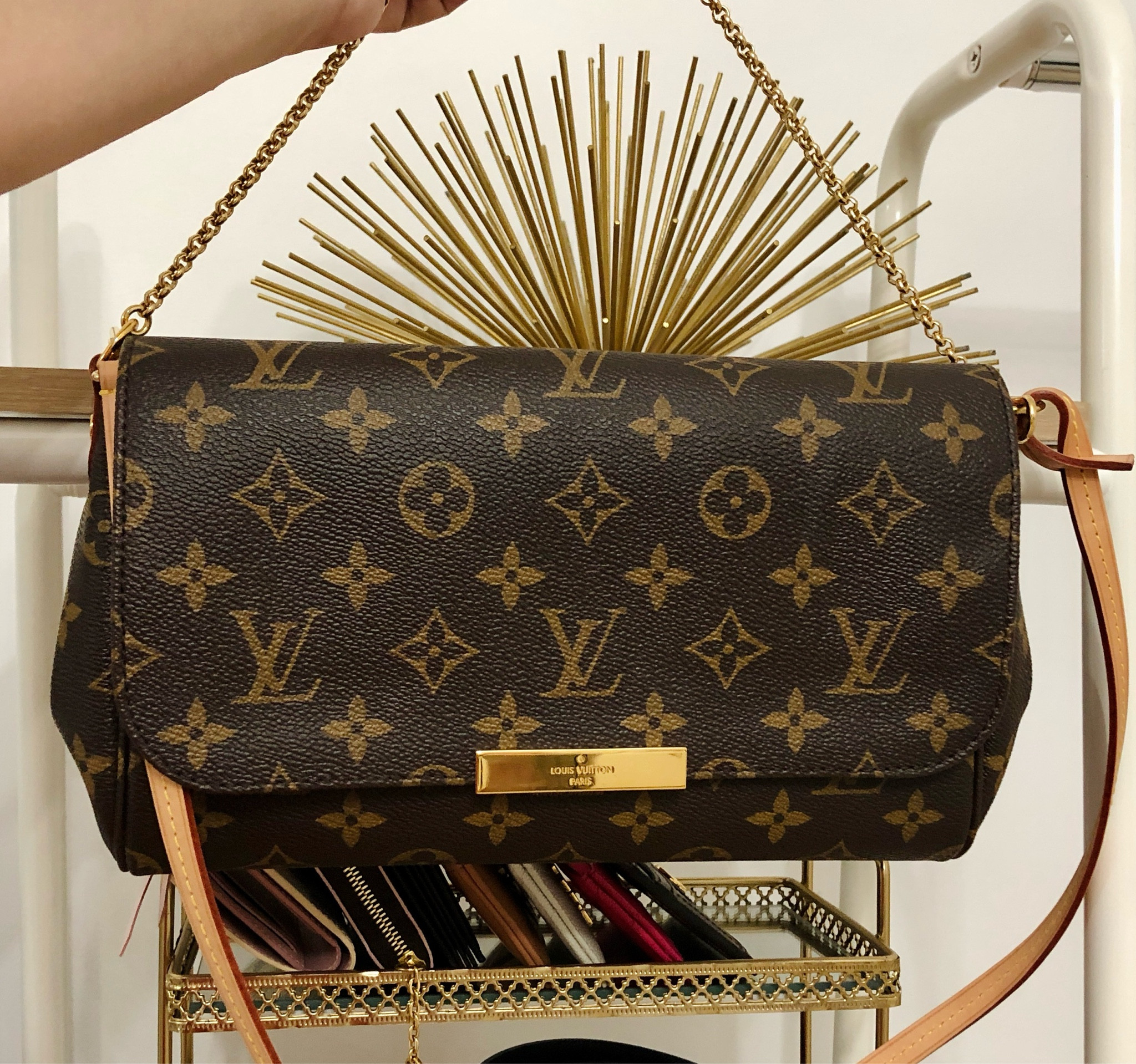 LOUIS VUITTON Monogram Favorite PM

#LTKOver40 #LTKItBag #LTKStyleTip