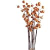 Package of 12 Mini Pumpkin Stems for Fall Florals and Decorating | Amazon (US)