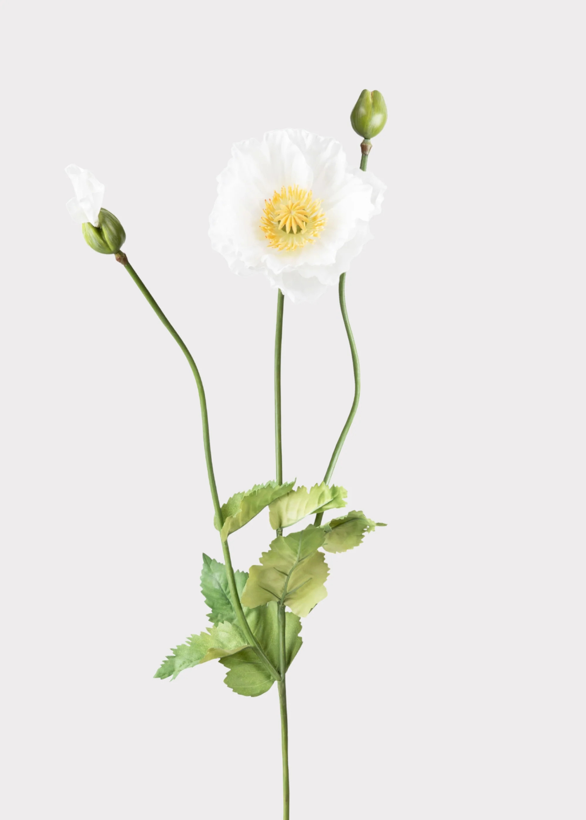 Poppy Flower - 31" | Faux, White | Afloral | Afloral