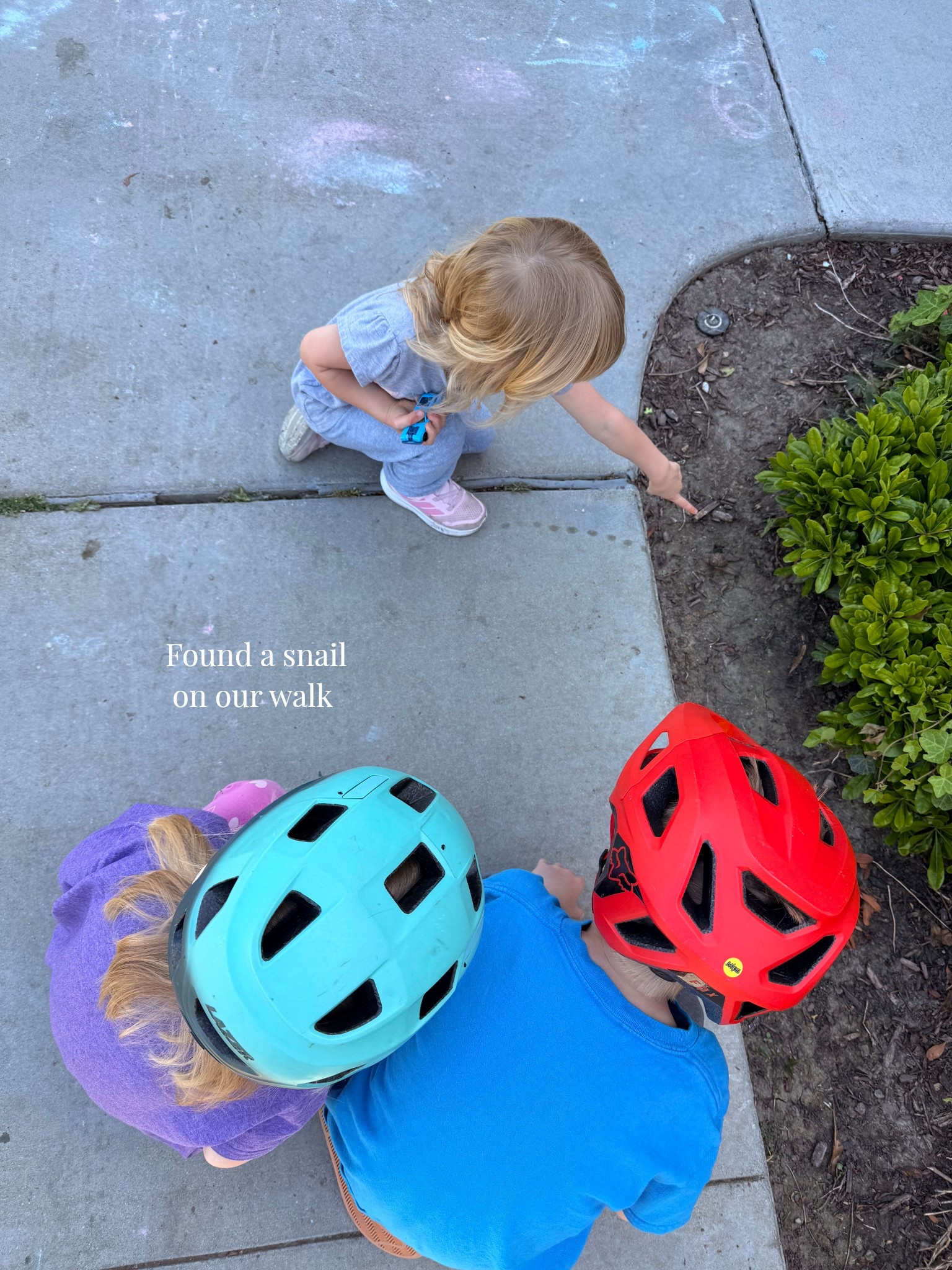 Little snail hunting this morning ✨

#kidsactivities #outdoorplay #bikesaftey

#LTKmomlife #LTKKids #LTKActive