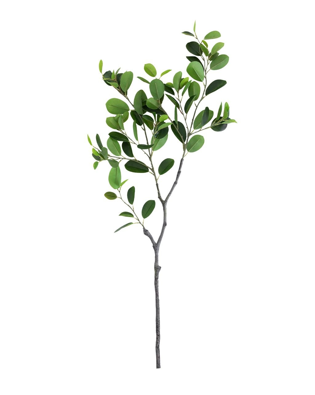 Faux Italian Ficus Branch | McGee & Co.