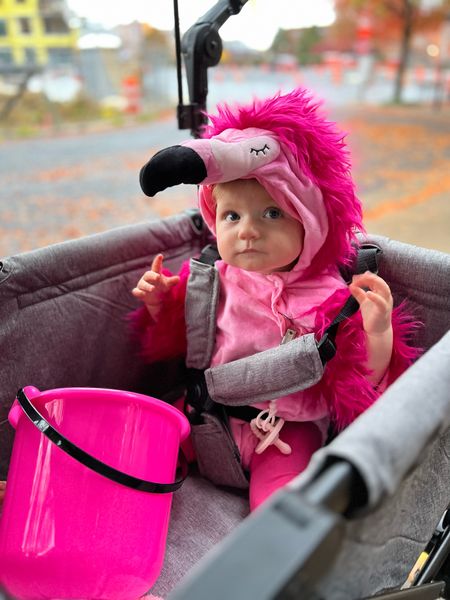 Baby Halloween costume
Flamingo, pink flamingo, kid costume, Halloween, trick or treat
11 months old wearing size 12m

#LTKHalloween #LTKbaby #LTKkids