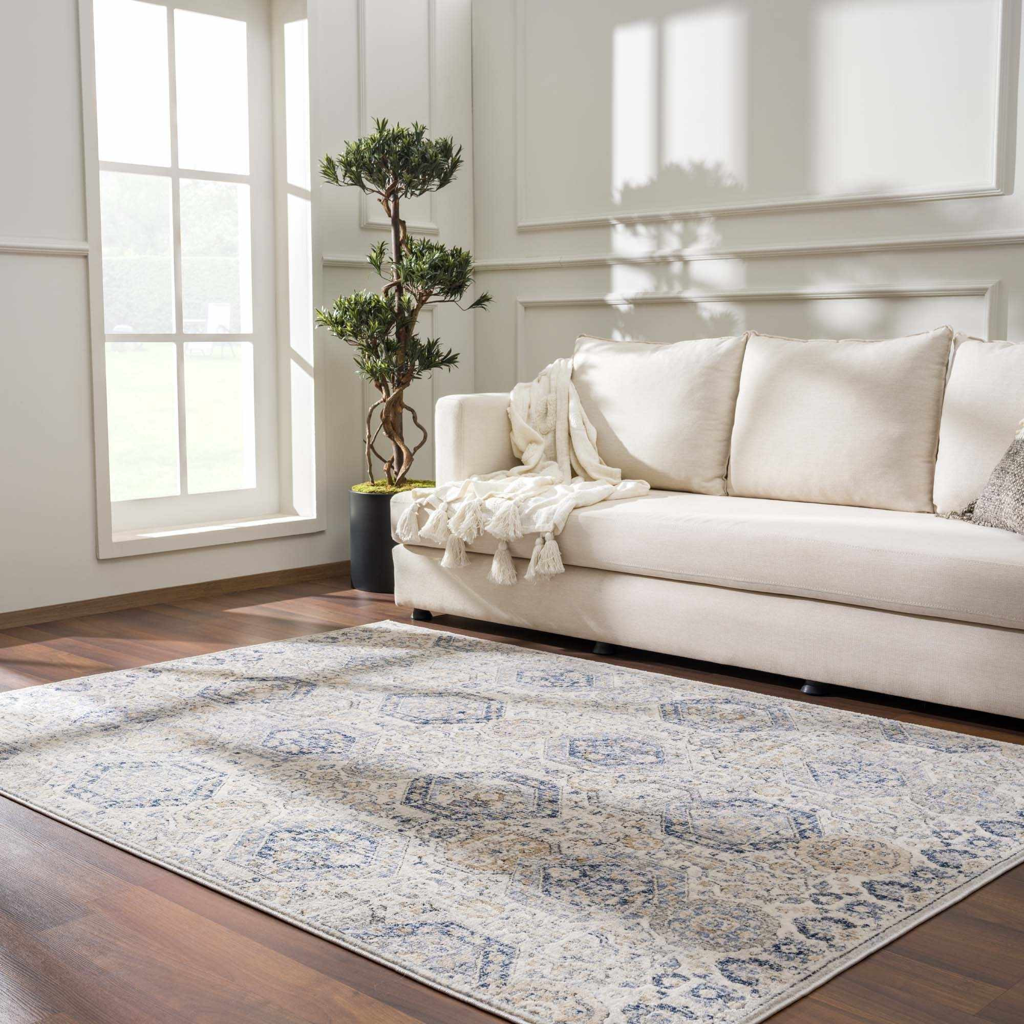 8'x10'
                                                        
                                 ... | Boutique Rugs