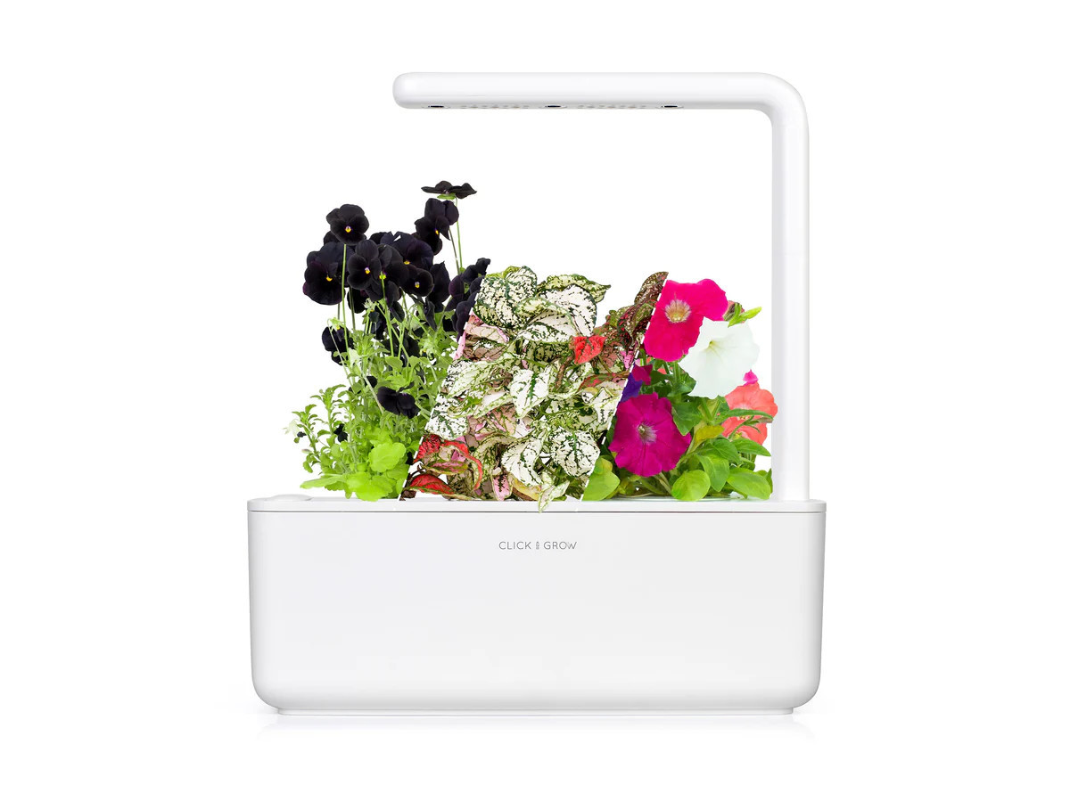 Small "Vibrant Flower" Kit | Click & Grow