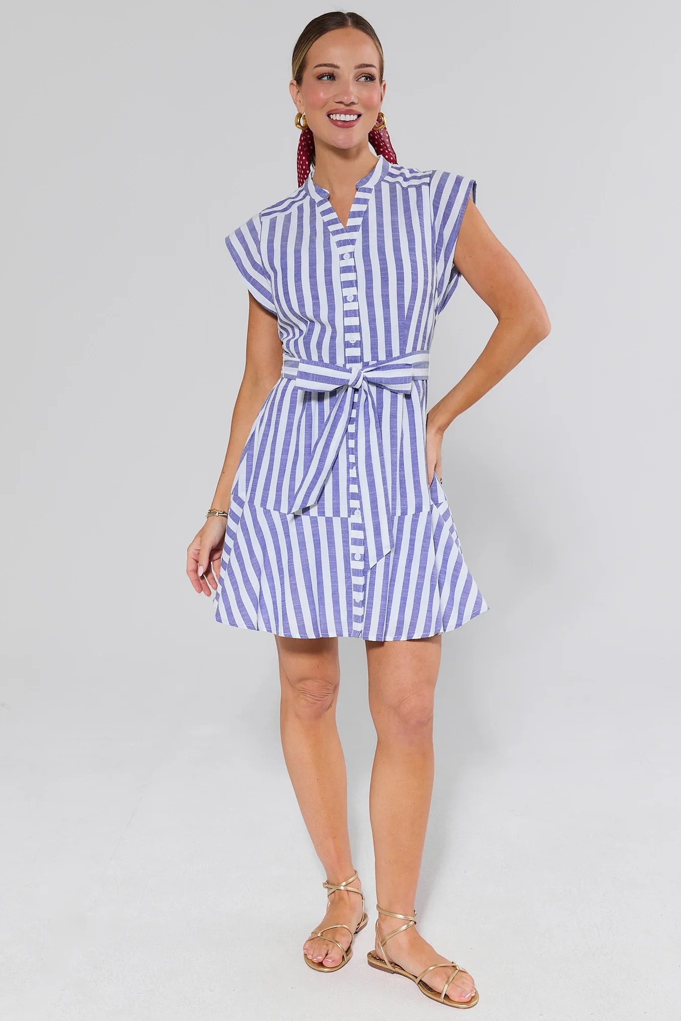 Erica Navy Striped Short Dress | Avara