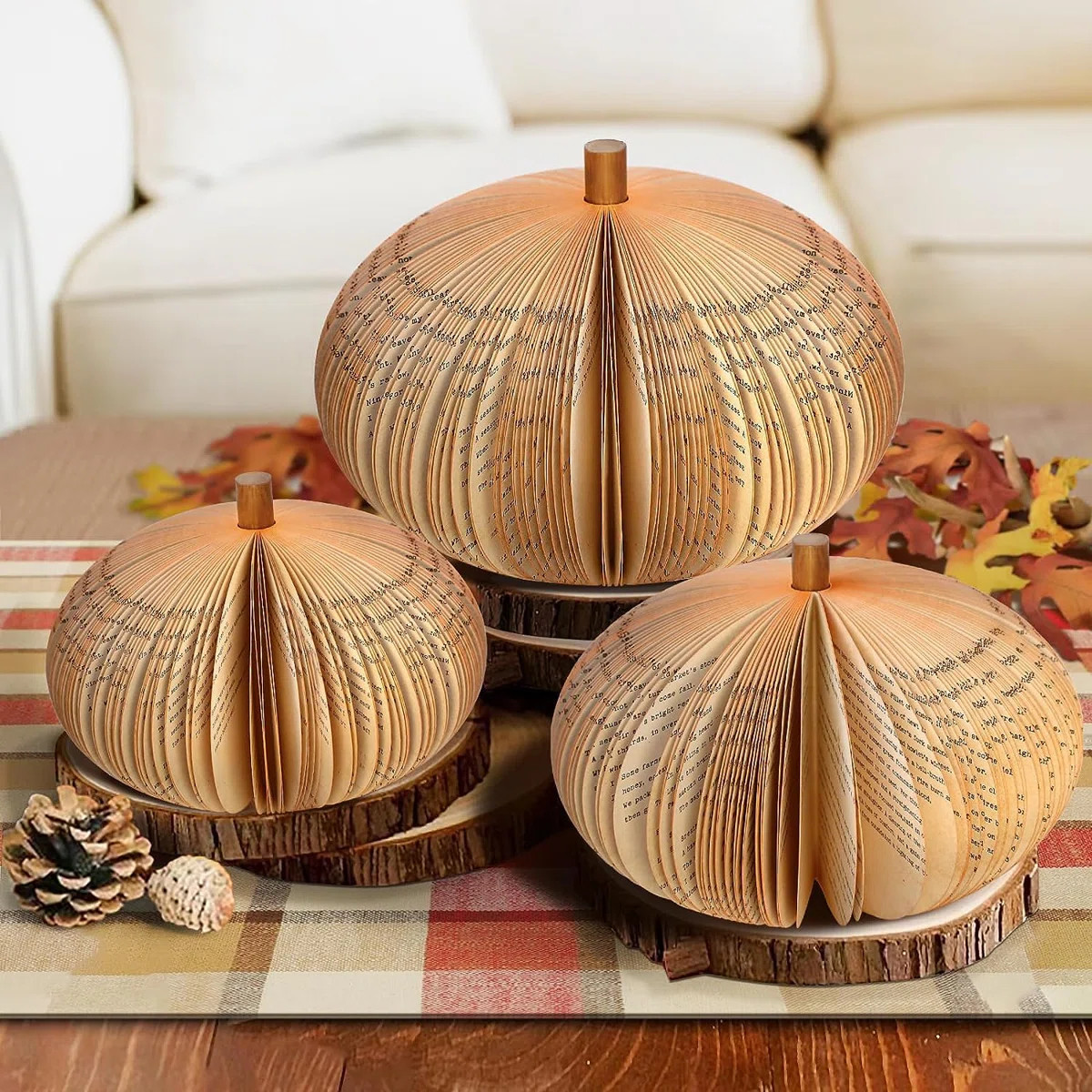 Decorative Accent | Wayfair North America