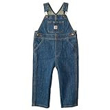 Carhartt Baby Jean Denim Bib Overalls, Medium Wash Blue, 9 Months | Amazon (US)