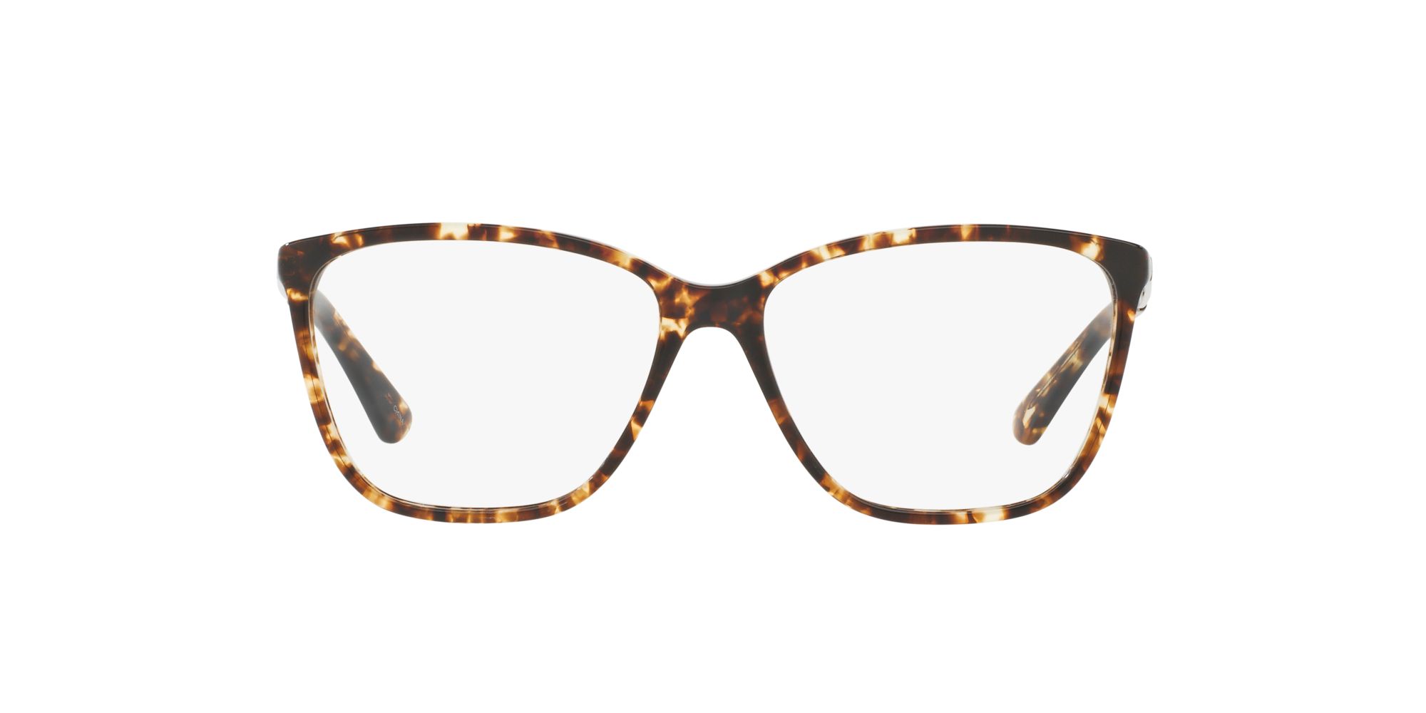A New Day Tortoise | Target Optical