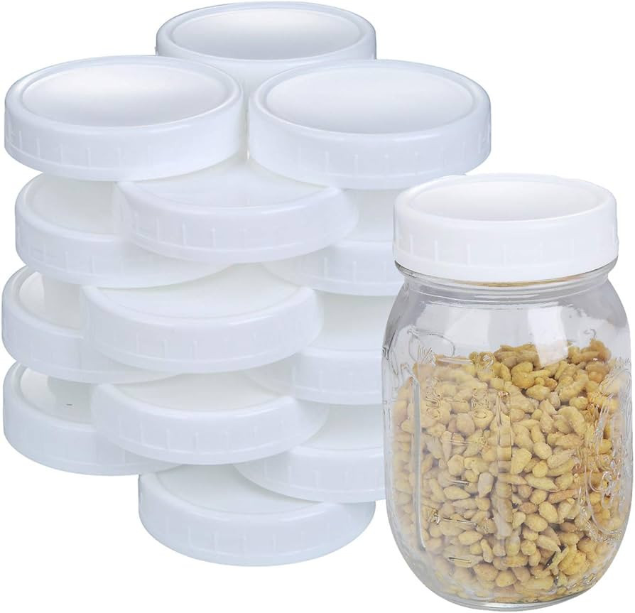 2 Dozen Regular Mouth Lids Mason Jar Lids Plastic Storage Caps for Mason Canning Jars and More, S... | Amazon (US)