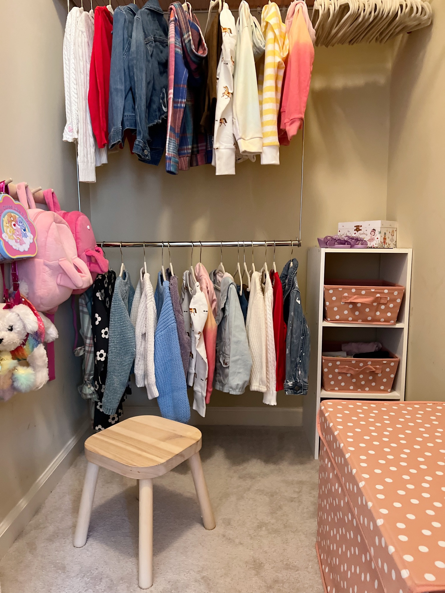 An easy and affordable hack to make your toddler’s closet accessible.

#LTKkids #LTKbaby #LTKfamily