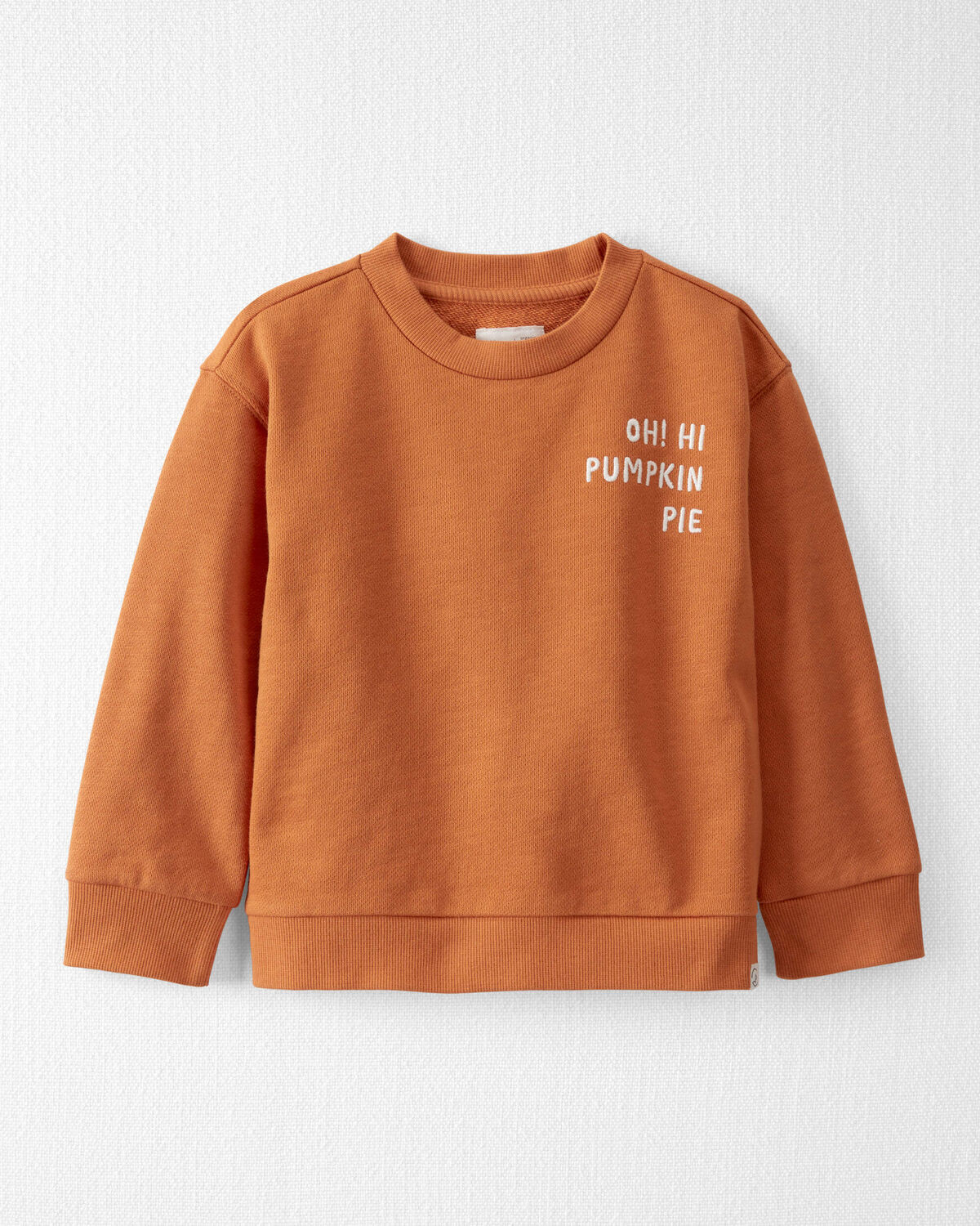 Toddler Oh Hi Pumpkin Pie Organic Cotton Pullover  - Little Planet | Carter's | Carter's