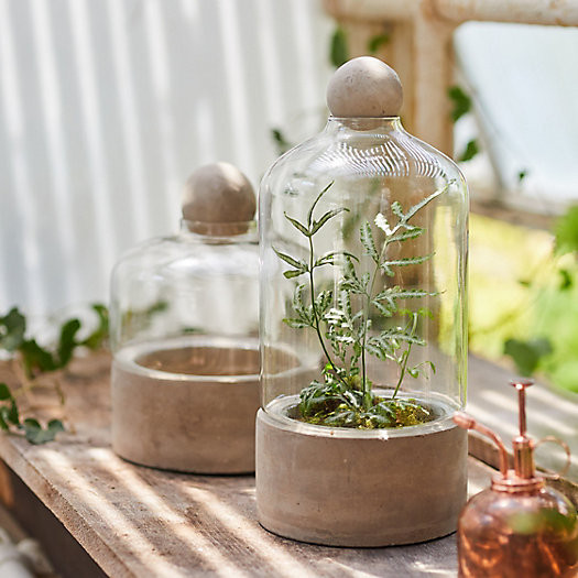 Terrarium with Concrete Base, Tall | Terrain