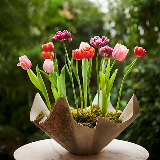 Handkerchief Iron Bowl Planter, 20" | Terrain