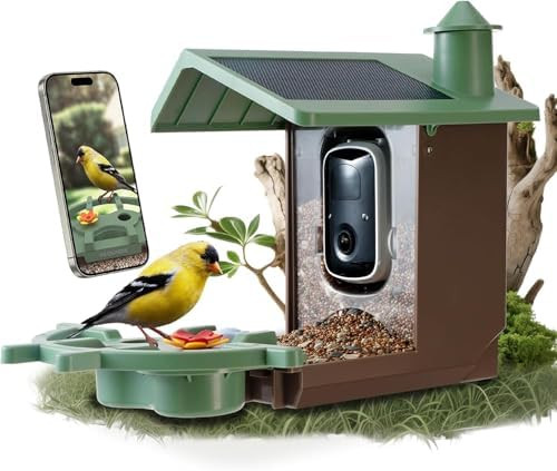 Smart Bird Feeder with Camera Solar Powered Outdoor - 2K HD Live Video, AI Bird ID, Squirrel-Proo... | Amazon (US)