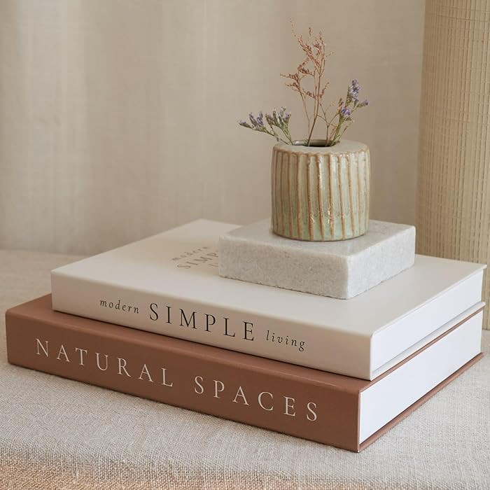 Beautiful Decorative Books - Set of 2 Boxes Enhance Your Coffee Table, Bookshelf or Mantel Shelf ... | Amazon (US)