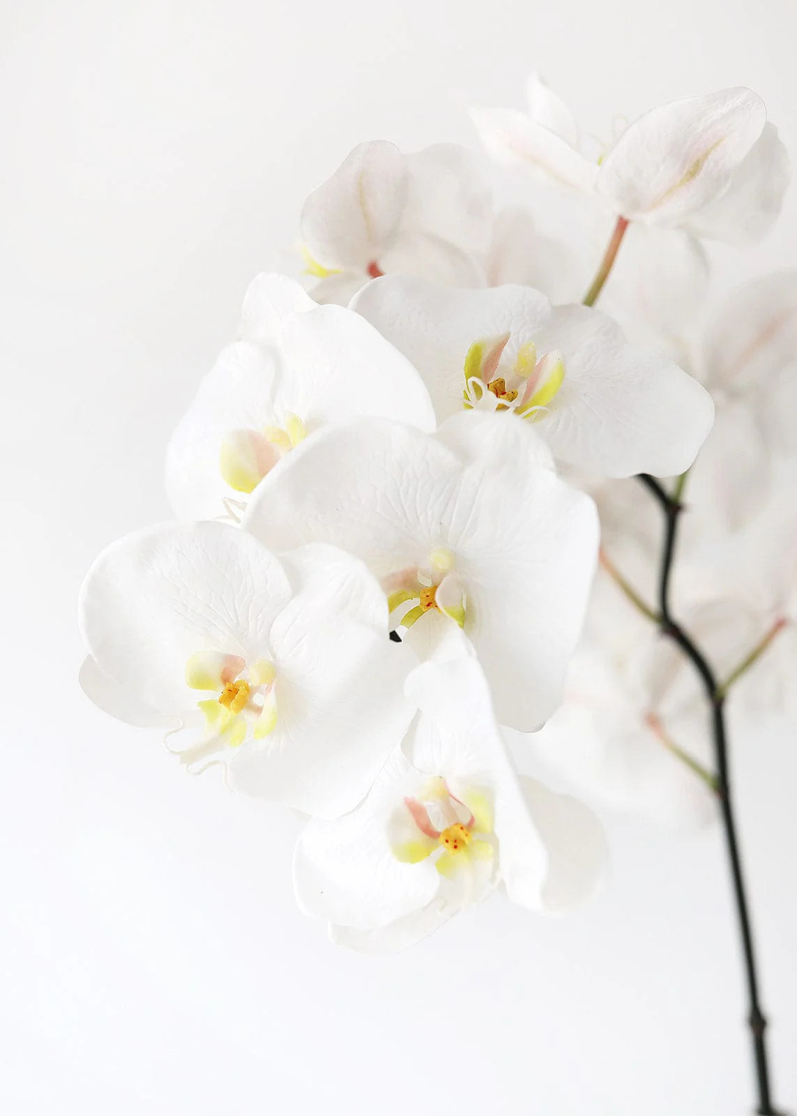 Large White Real Touch Fake Orchids - 44" | Afloral (US)