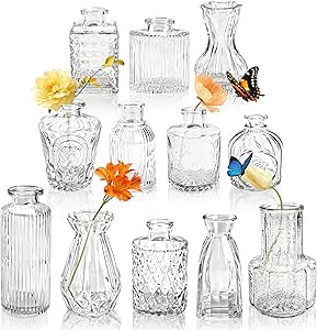 Der Rose Glass Bud Vases Set of 12, Small Bud Vases for Flowers, Rustic Wedding Centerpieces and ... | Amazon (US)