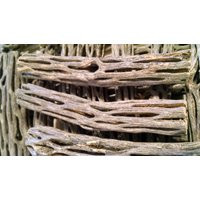 50 Cholla Wood 4"", Organic, Untreated, Cactus, Chews, Crafts | Etsy (US)
