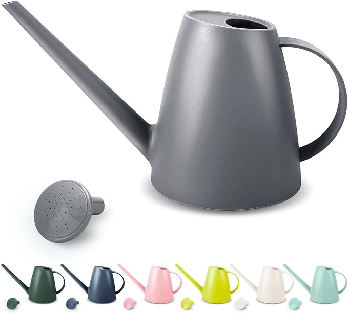 Watering Can for Indoor Plants, Small Watering Cans for House Plant Garden Flower, Long Spout Wat... | Amazon (US)