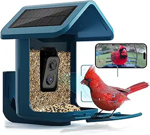 Bird Feeder with Camera Solar Powered : Smart Camera Bird Feeder 2K Live Steam for Outdoor, 5MP P... | Amazon (US)
