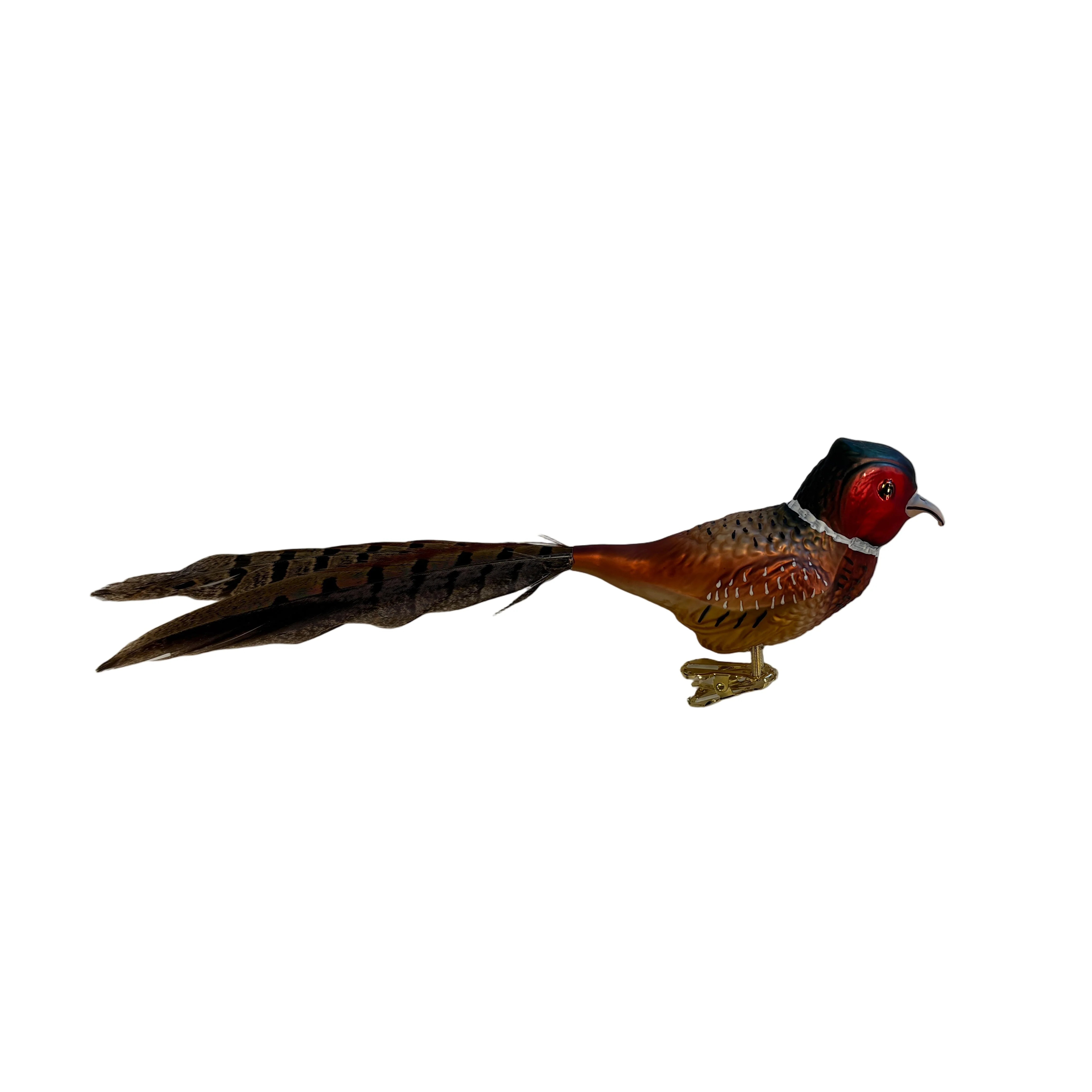 Glass Pheasant | Fig and Dove