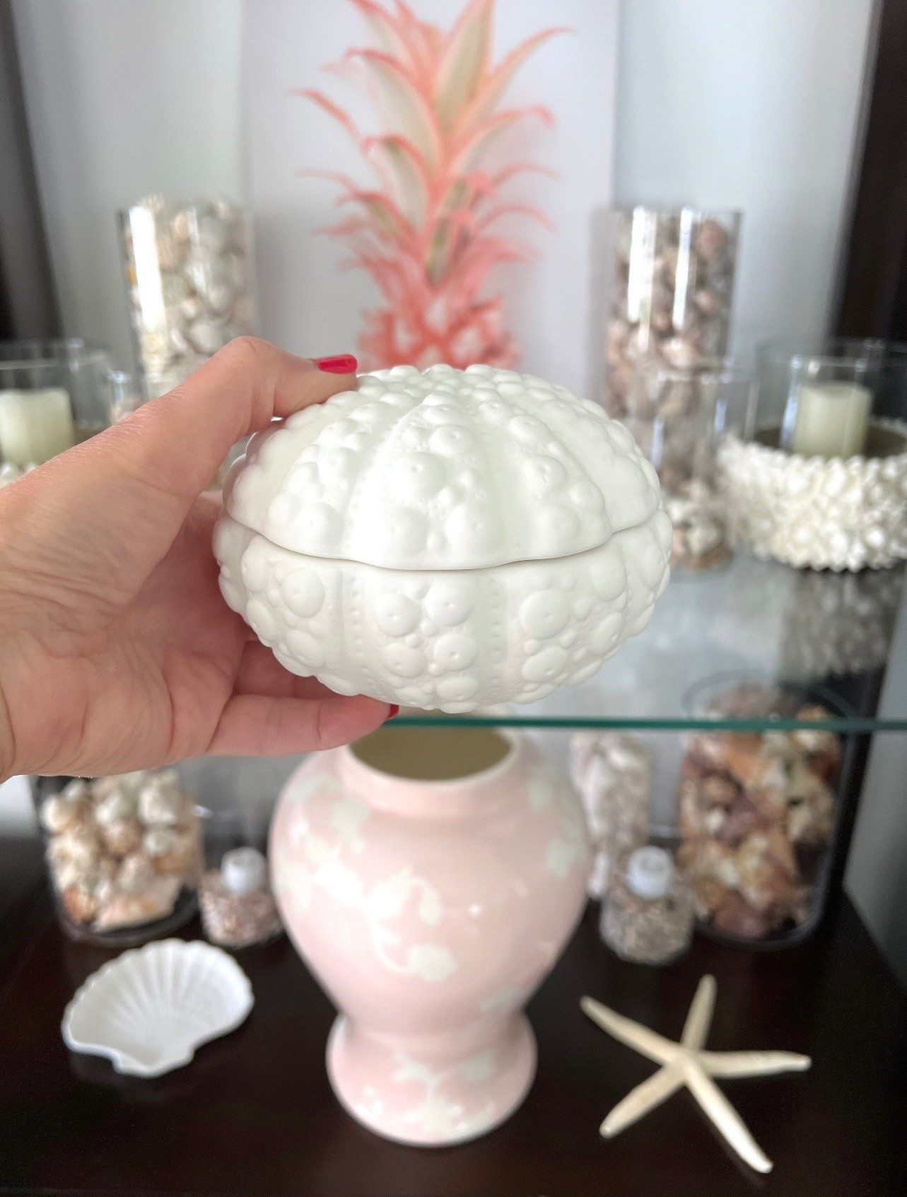 COASTAL DECOR:

Target has some beautiful coastal decor for your home! So affordable too. You can remove the lid from this shell box. Only $10!


@target

#LTKHome #LTKstorytime #LTKSeasonal