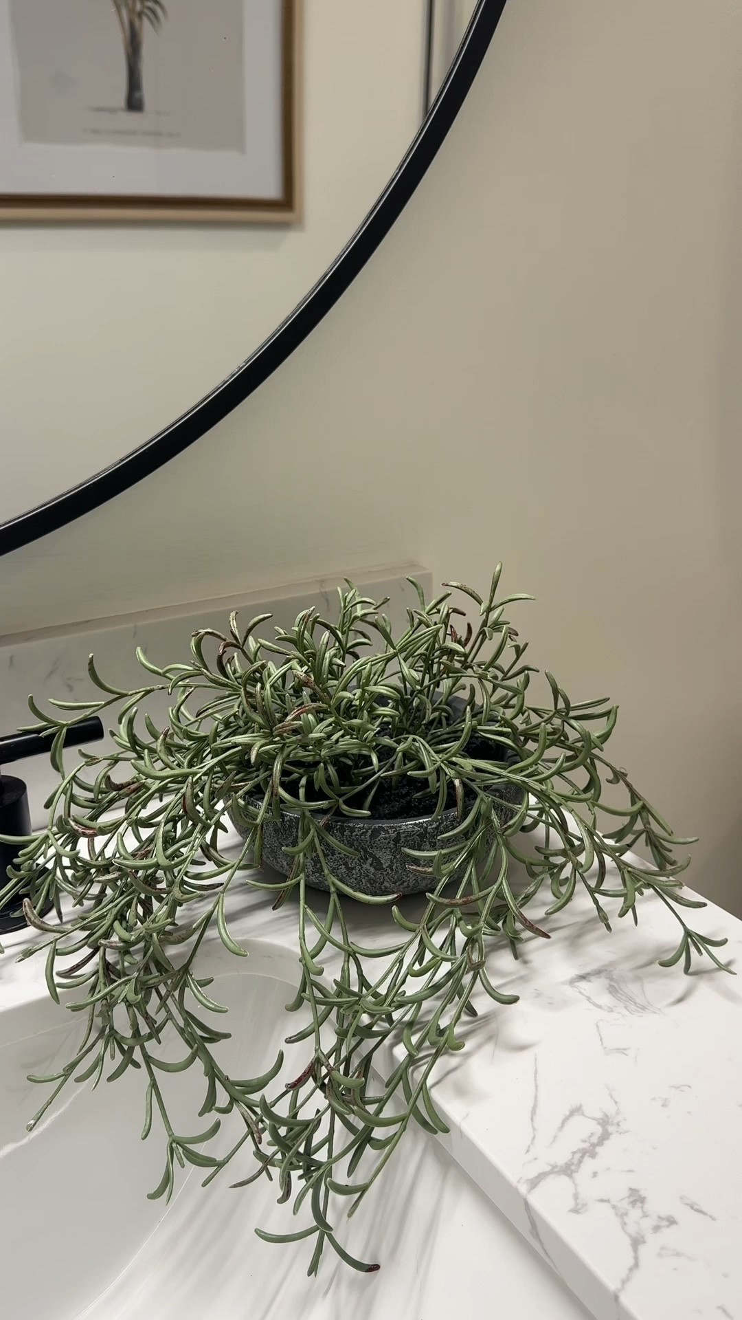 Super easy earthy swaps to make a cold white bathroom warmer with these easy additions!

#LTKSaleAlert #LTKFindsUnder50 #LTKHome