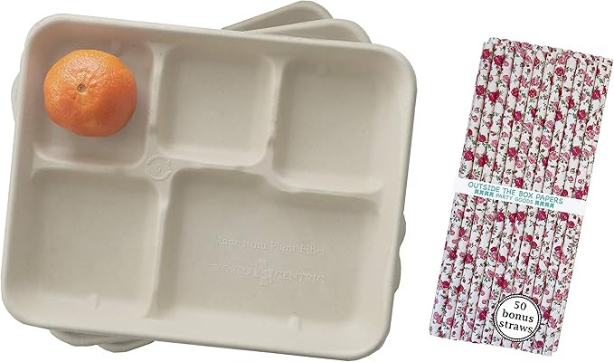 Compostable Paper 5 Compartment School Lunch Trays - Retro Style Kraft Brown Paper and Paper Drin... | Amazon (US)