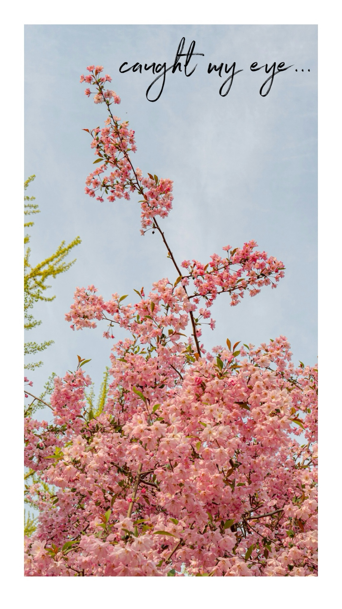 5.18 caught my eye 

#LTKSaleAlert #LTKSeasonal #LTKStyleTip