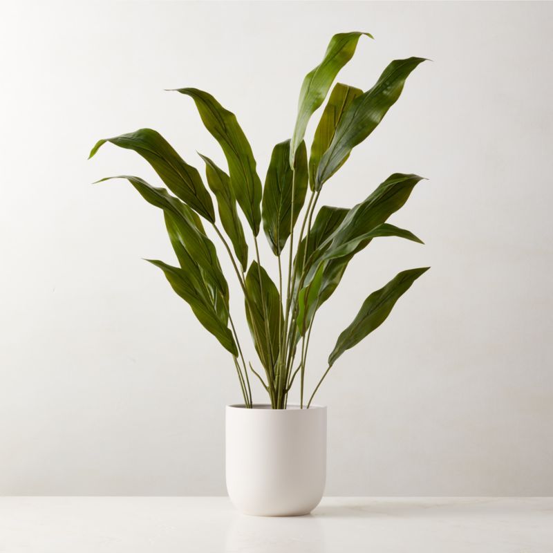 Faux Potted Iron Leaf Plant 35" | CB2 | CB2