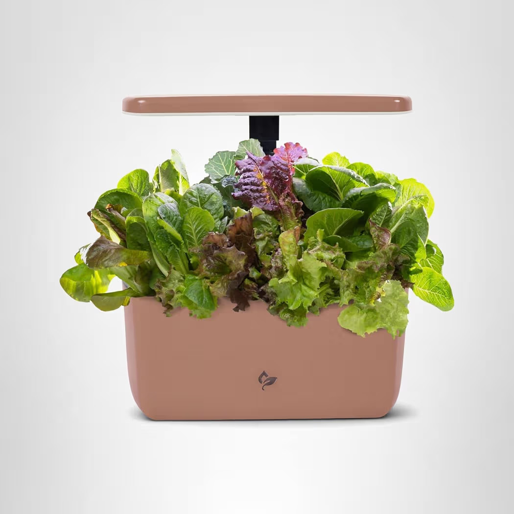 AeroGarden Harvest Lite in Mocha, Soil-Free Indoor Hydroponic Garden with LED Grow Light for Year... | Amazon (US)