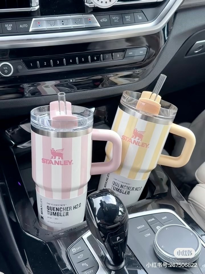 🇨🇦🇺🇸Stanley new Oasis collection

#LTKfitness #LTKgiftguide #LTKsummer