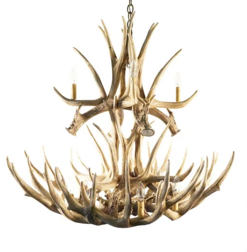 Livia 12 - Light Dimmable Classic / Traditional Chandelier | Wayfair North America