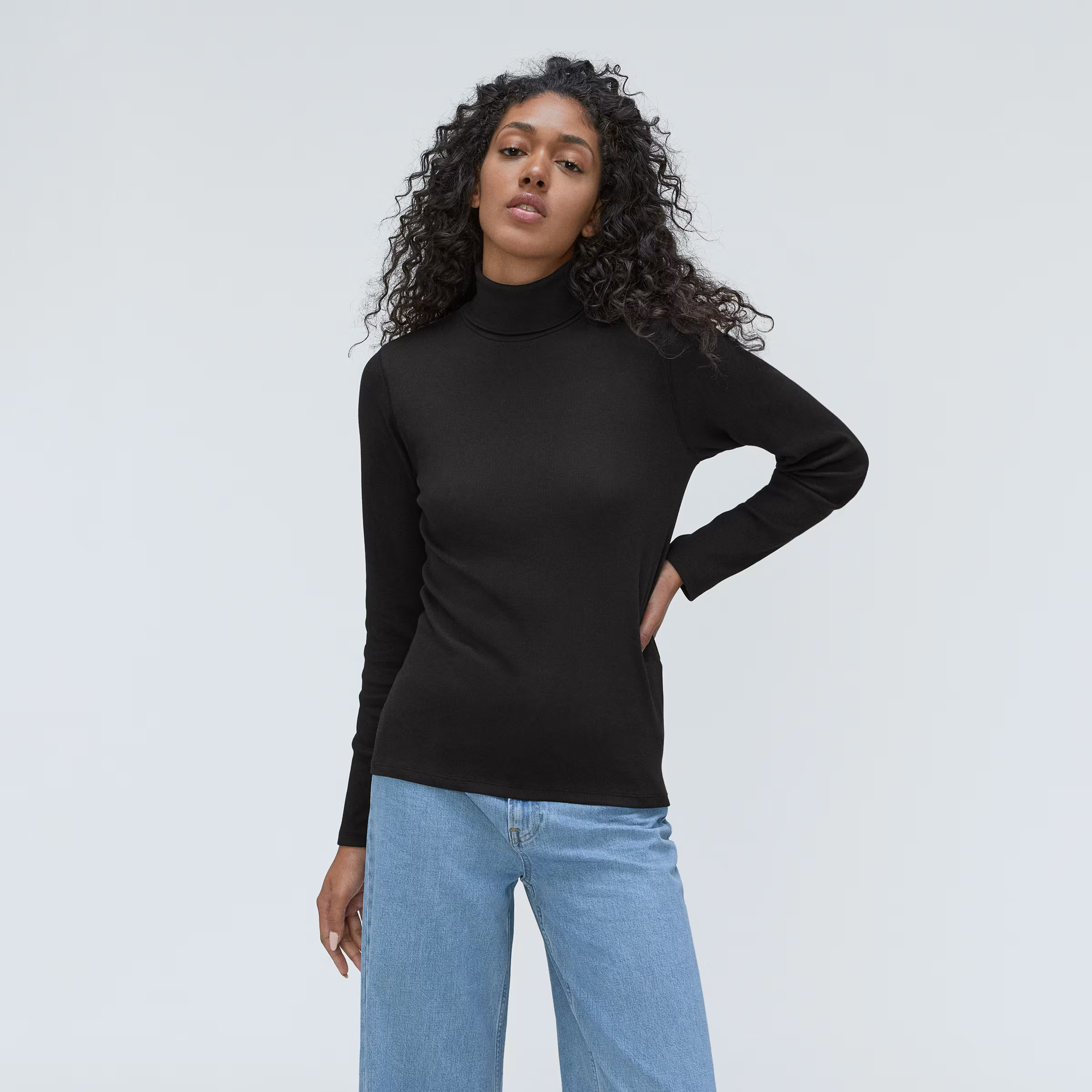 The Supima® Micro-Rib Turtleneck | Everlane